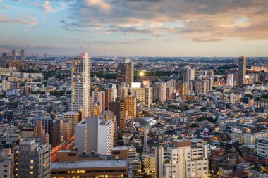 Tokyo, Japonya finans bölgesi Setagaya bölgesinden geceleri şehir manzarası.