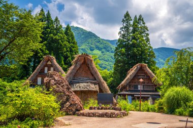 Ogimachi, Shirakawa, Japonya Yazın çatısı olan çiftlik evleri.