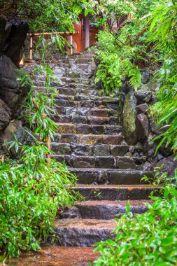 Islak taş adımları kyoto, Japonya.