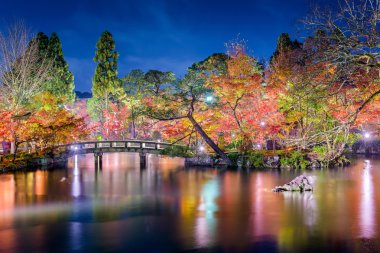 Kyoto Bahçe sonbahar gece
