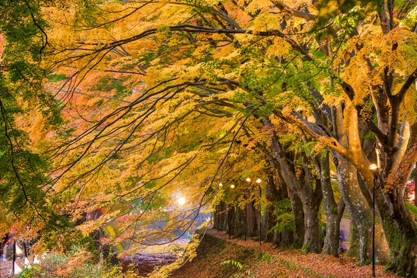 Maple Corridor of Japan — Stock Photo, Image