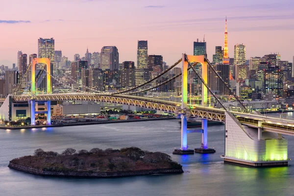 Tokyo Körfezi manzarası — Stok fotoğraf