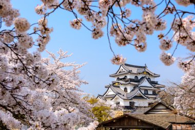 Hikone Kalesi Japonya