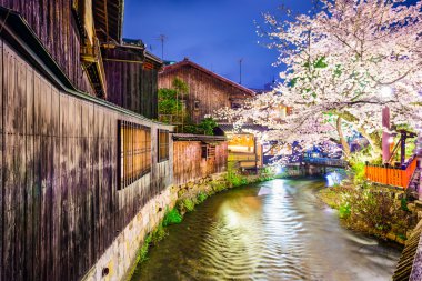 Bahar River Kyoto
