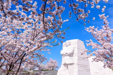 MLK Jr Memorial
