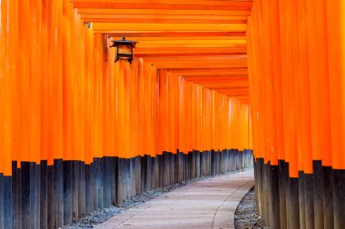 Fushimi Inari Tapınak