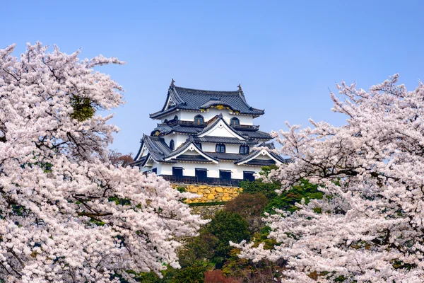 Kastély Hikone, Japán — Stock Fotó