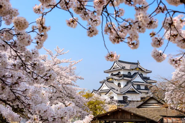 Hikone замок Японії — стокове фото