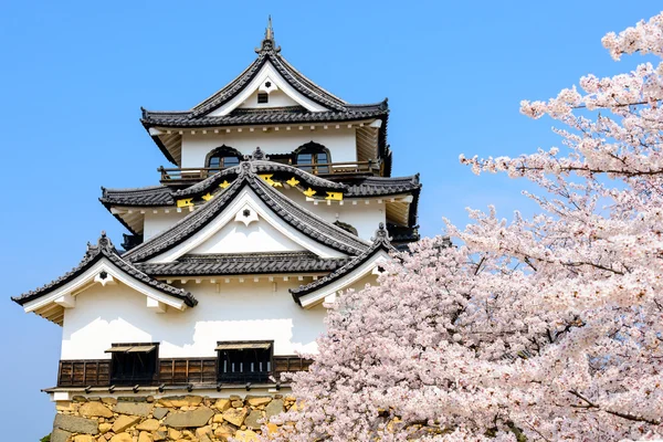 Castillo de Hikone Japón — Foto de Stock