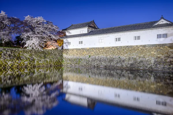Hikone замок-рів — стокове фото