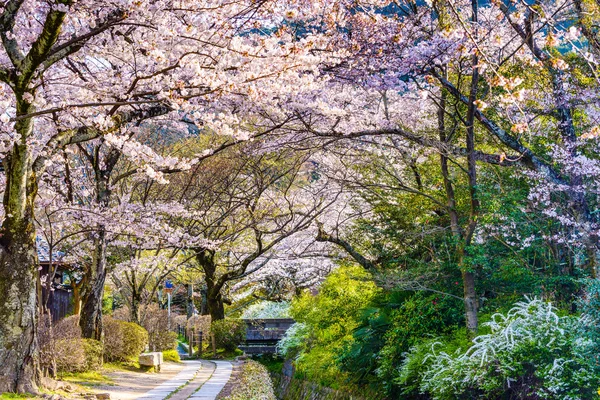 Philosopher's Walk in Kyoto — Stock Photo, Image