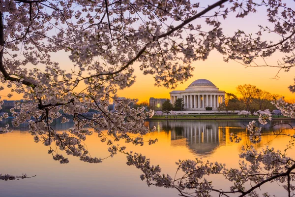 DC en primavera —  Fotos de Stock