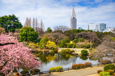 Shinjuku bahar