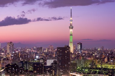 Tokyo Japonya manzarası