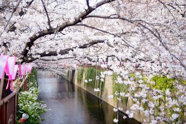 Tokyo im Frühling — Stockfoto