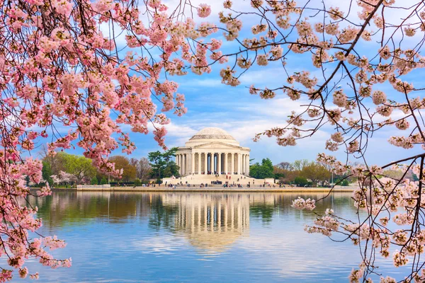 Washington dc na primavera — Fotografia de Stock