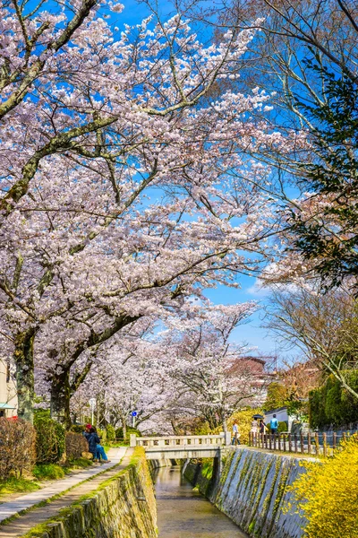 Philosopher's Walk w Kioto — Zdjęcie stockowe