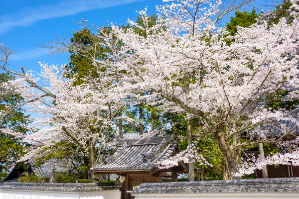 Kyoto tavasszal — Stock Fotó