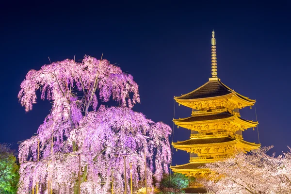 Tojiho pagoda v Kjótu — Stock fotografie