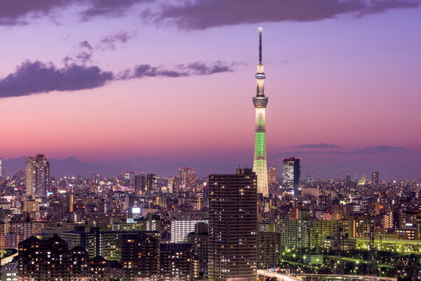 Tokyo Japan Skyline