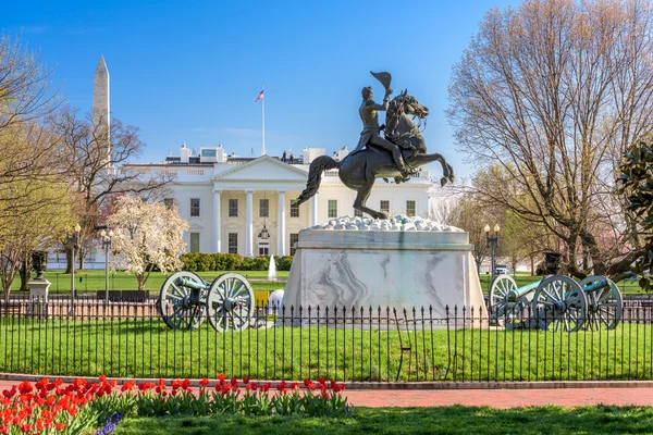 Washington DC EE.UU. — Foto de Stock