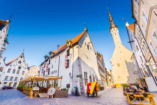 Tallin Estonia Square — Stock Photo, Image