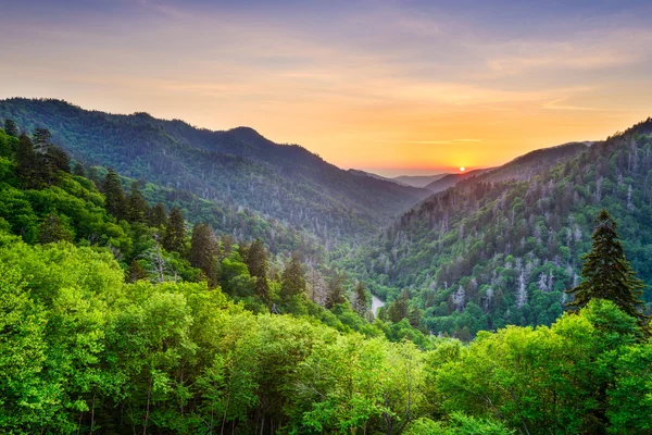 Newfound Gap in de rokerige bergen — Stockfoto