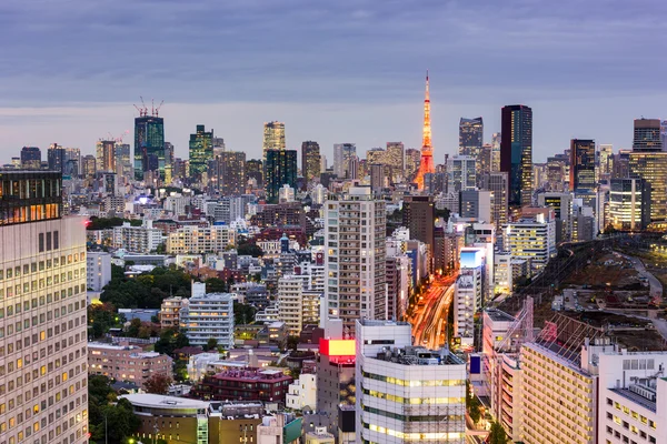 Tokyo Japonsko Panorama — Stock fotografie