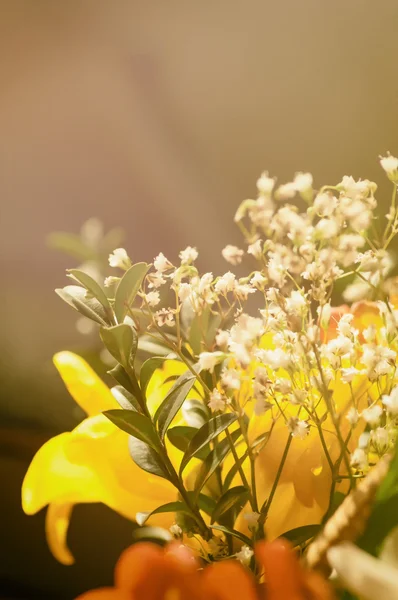 Μπουκέτο από όμορφα λουλούδια — Φωτογραφία Αρχείου