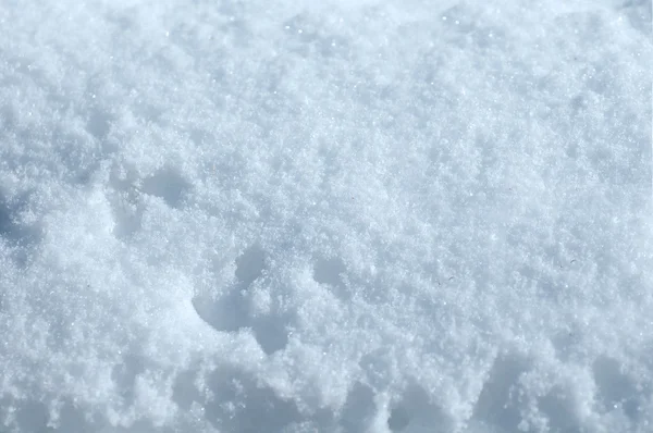 Свіжий білий сніг — стокове фото