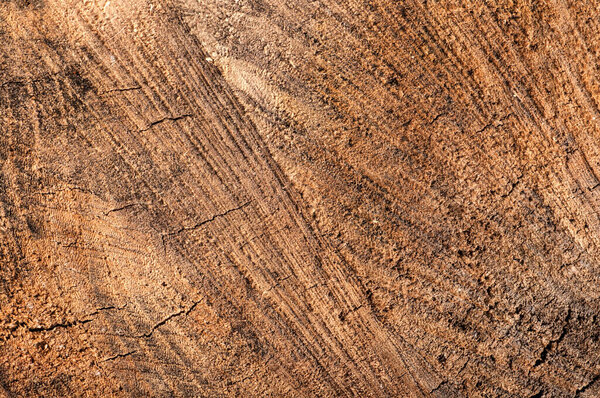 background of old sawn yellow wood, texture close-up