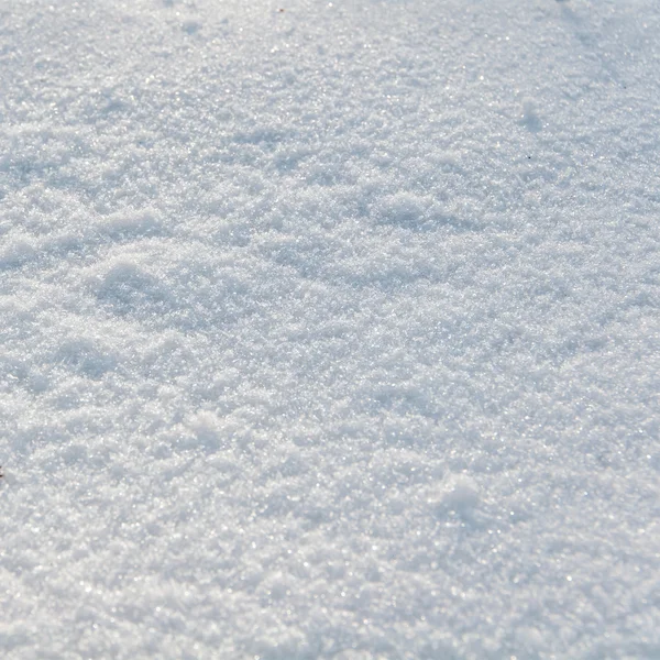 Φρέσκο χιόνι — Φωτογραφία Αρχείου