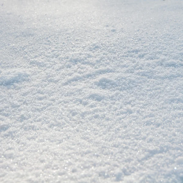 Świeży śnieg — Zdjęcie stockowe