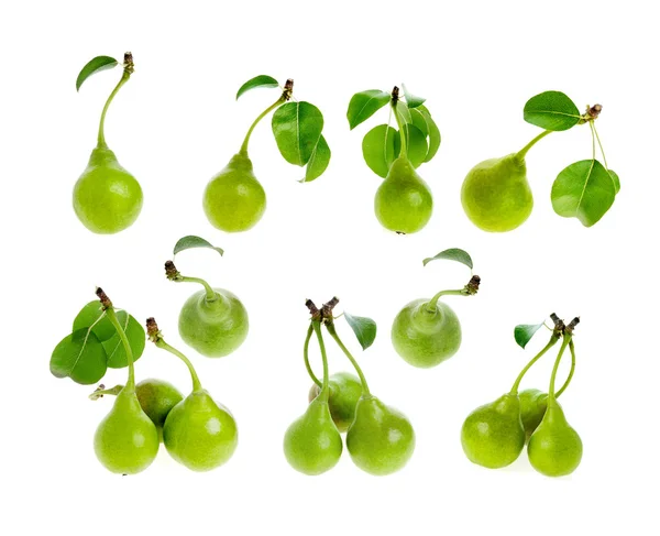 Ställ in gröna päron med blad — Stockfoto