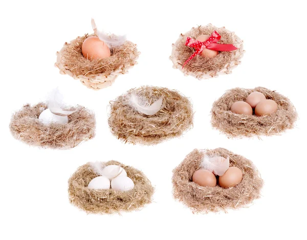 Set of eggs in the nest and feather — Stock Photo, Image