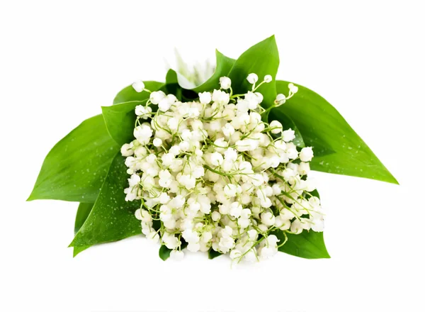 Bouquet of lilies in basket — Stock Photo, Image