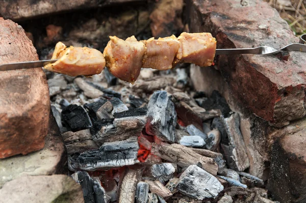 Meat  roasting on skewer — Stock Photo, Image