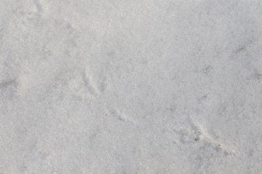 Taze karın arkaplanı