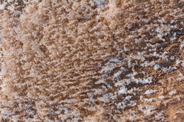 kum zemin üzerine Don