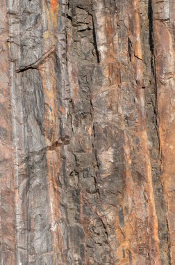 arka plan demir cevheri