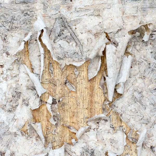 Old torn paper on wood wall — Stock Photo, Image