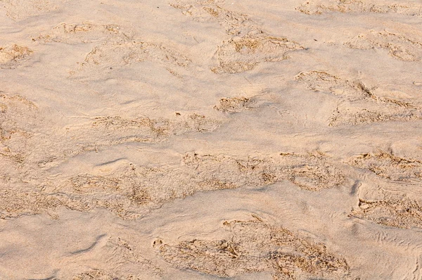 Wet sand texture — Stock Photo, Image