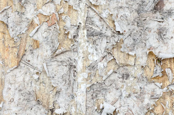 Old torn paper on wood wall — Stock Photo, Image