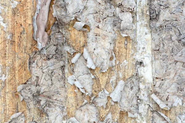 Papel viejo rasgado — Foto de Stock