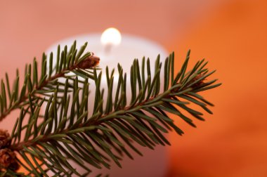 Mum ve köknar dalı alevi