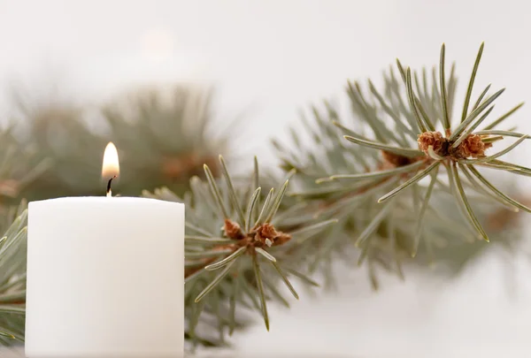 Flame of candle and fir branch — Stock Photo, Image