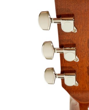 Beyaz gitarda akbaba