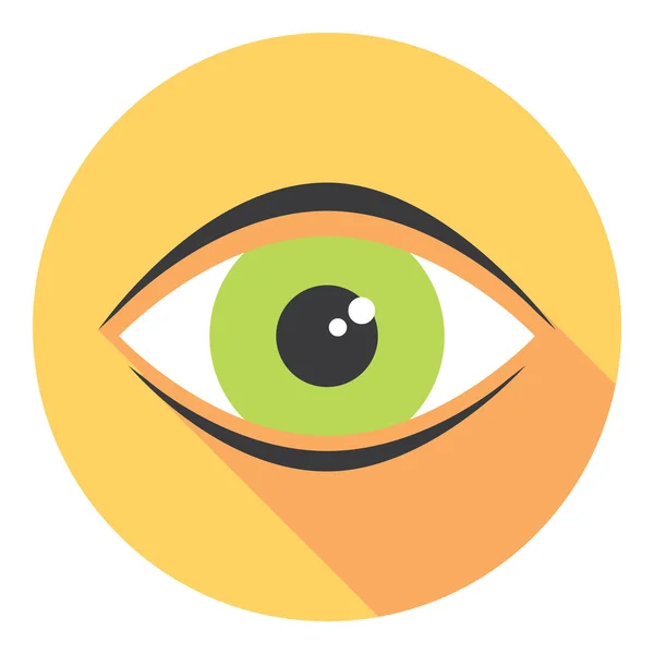 Human Eye Closeup View — Stock Vector