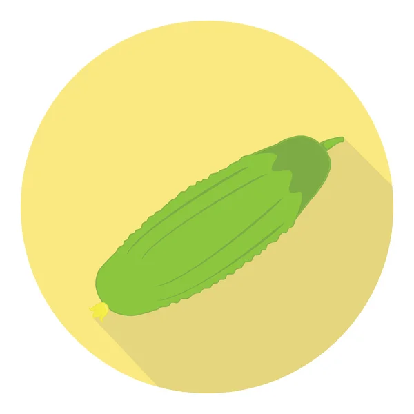 Concombre Légumes Plantes — Image vectorielle