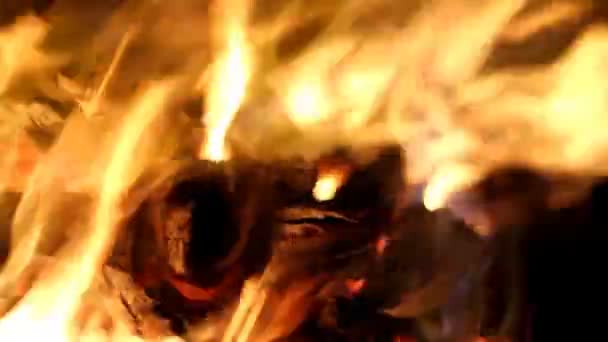 Campfire Close Up — Stock Video